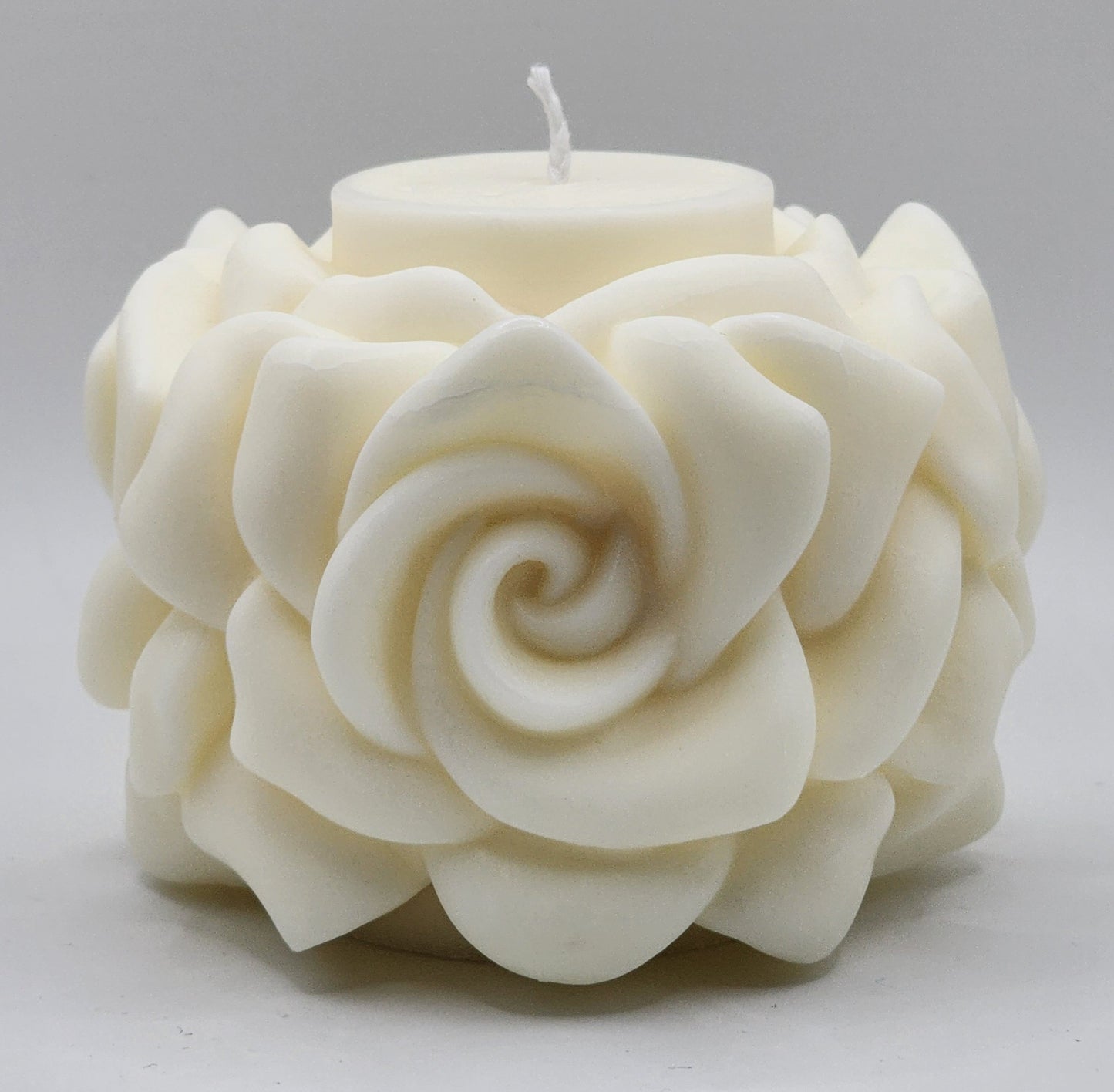 Rose Love