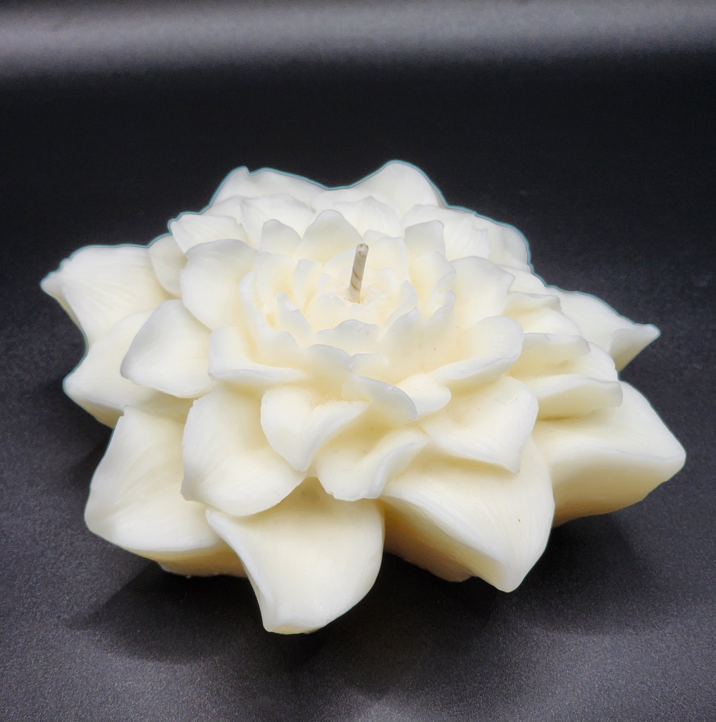 Peony Grace
