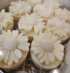 You're A Daisy Soaps