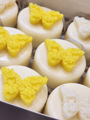 New Beginnings Soaps