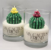 My Cactus Friend