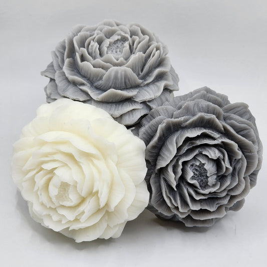 Peonies Flowers