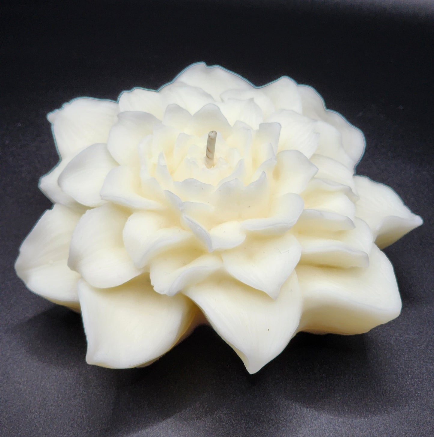 Peony Grace