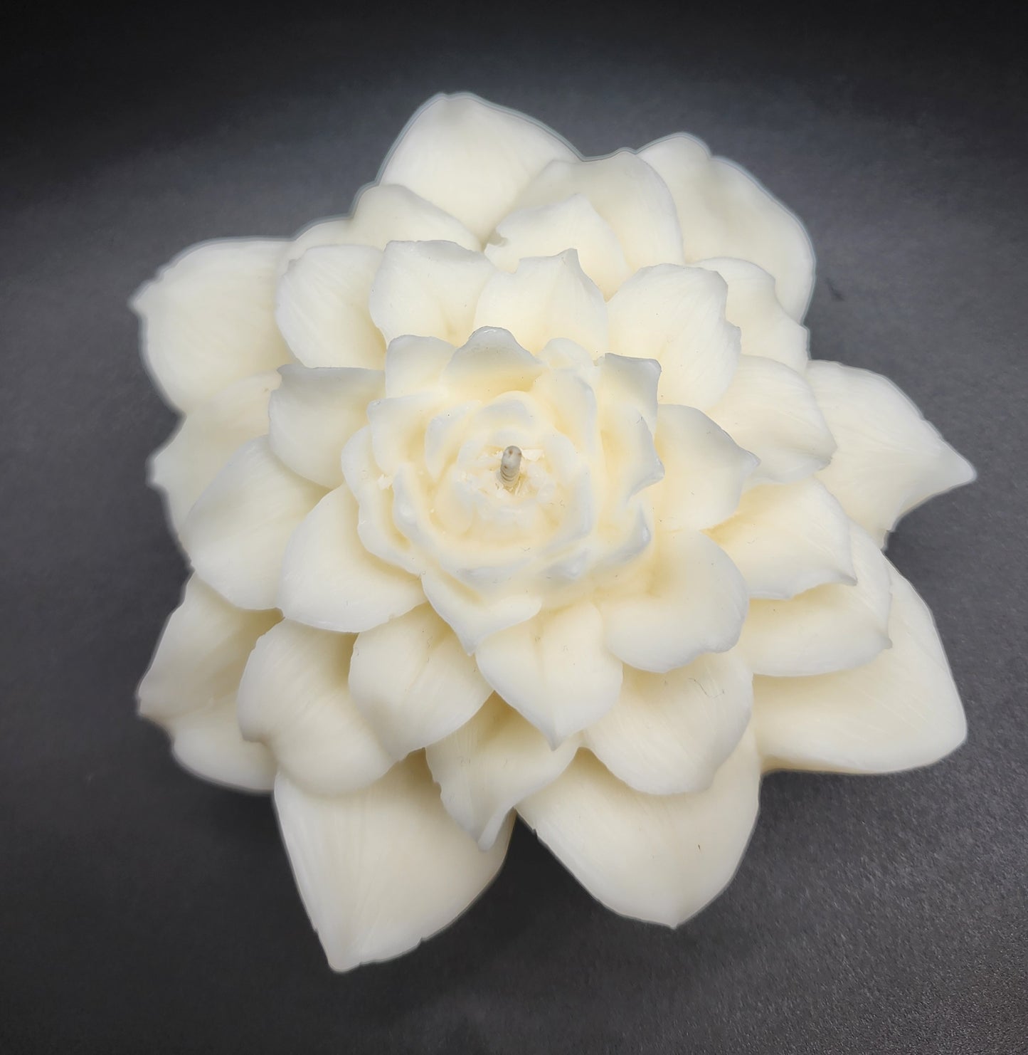 Peony Grace