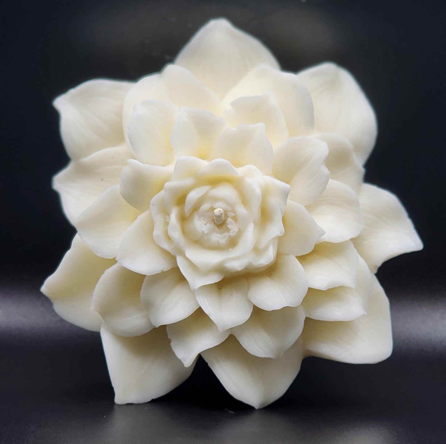 Peony Grace