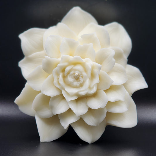 Peony Grace
