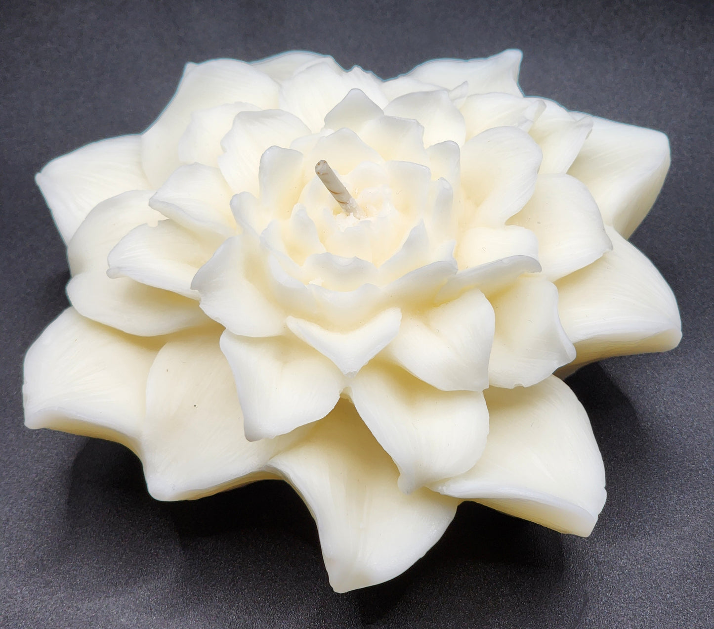 Peony Grace