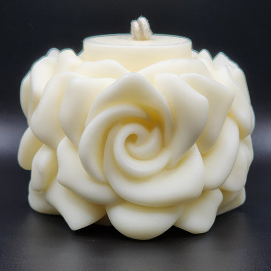Rose Love