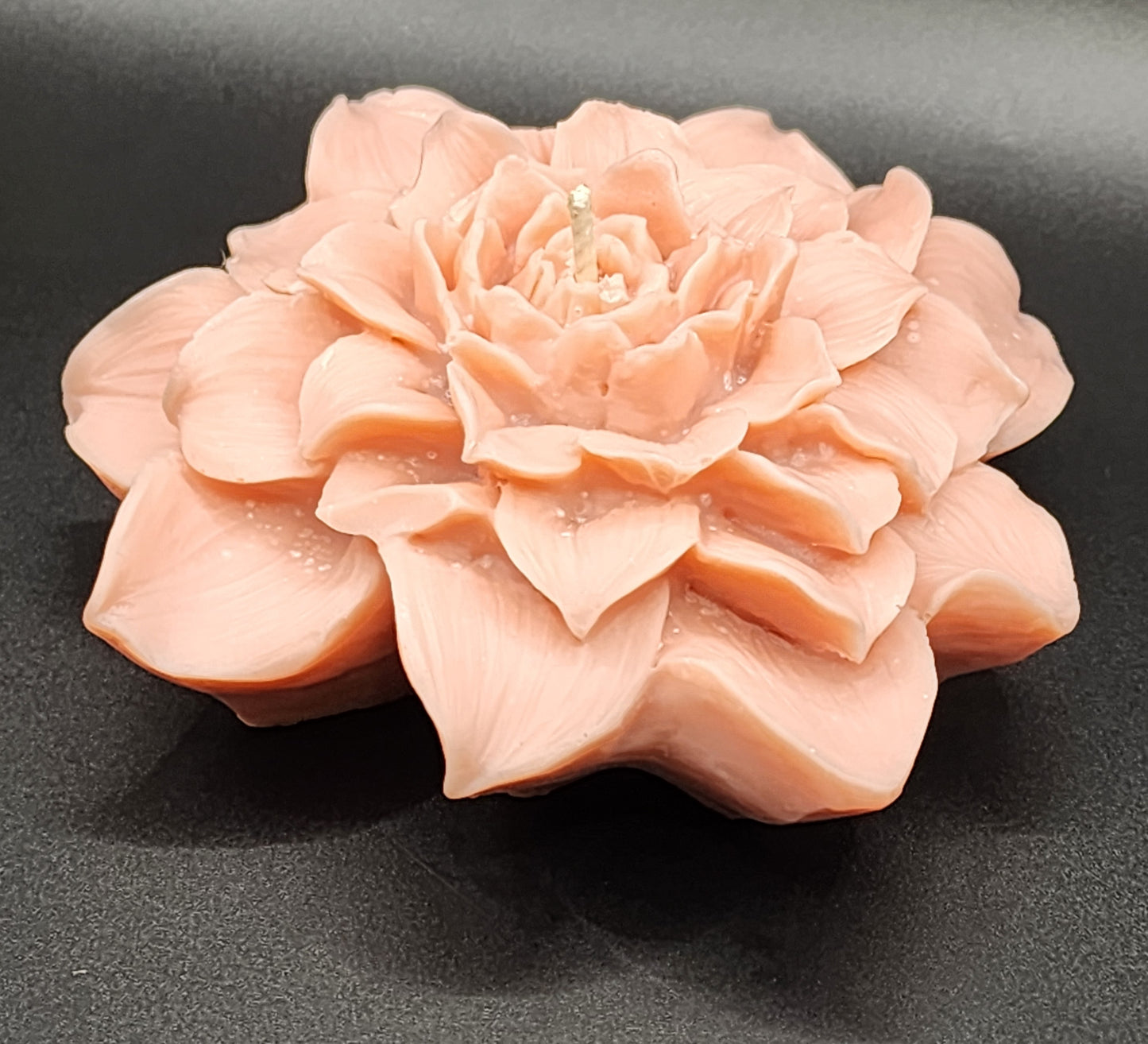 Peony Grace