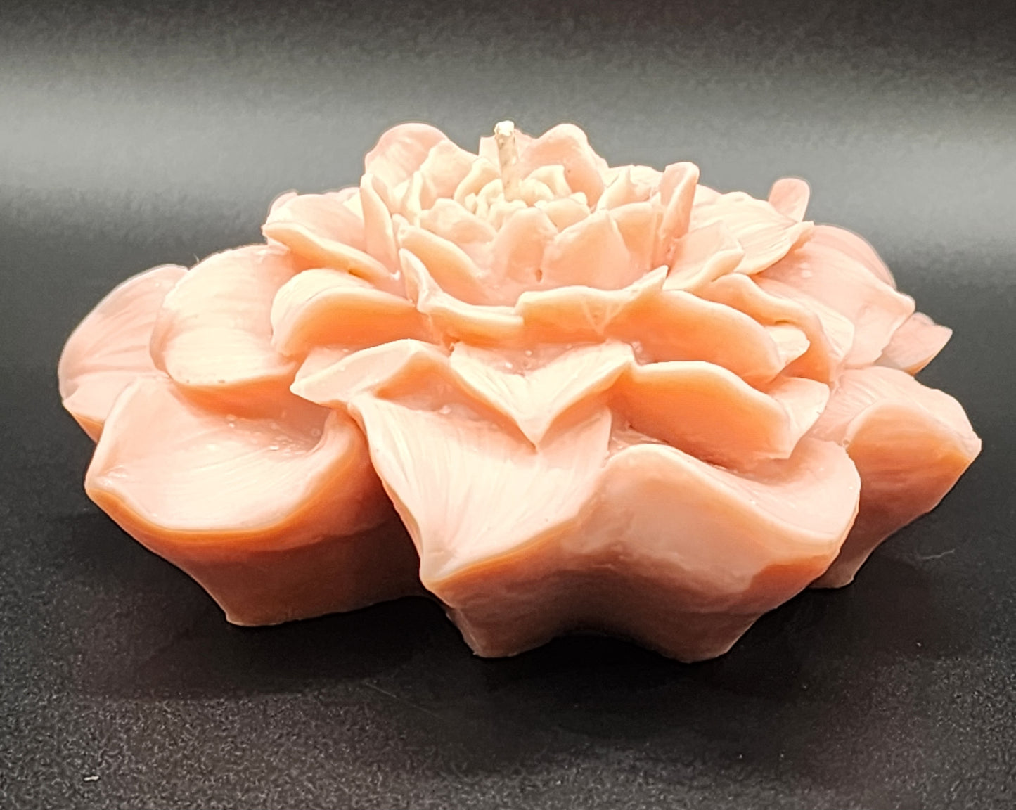 Peony Grace