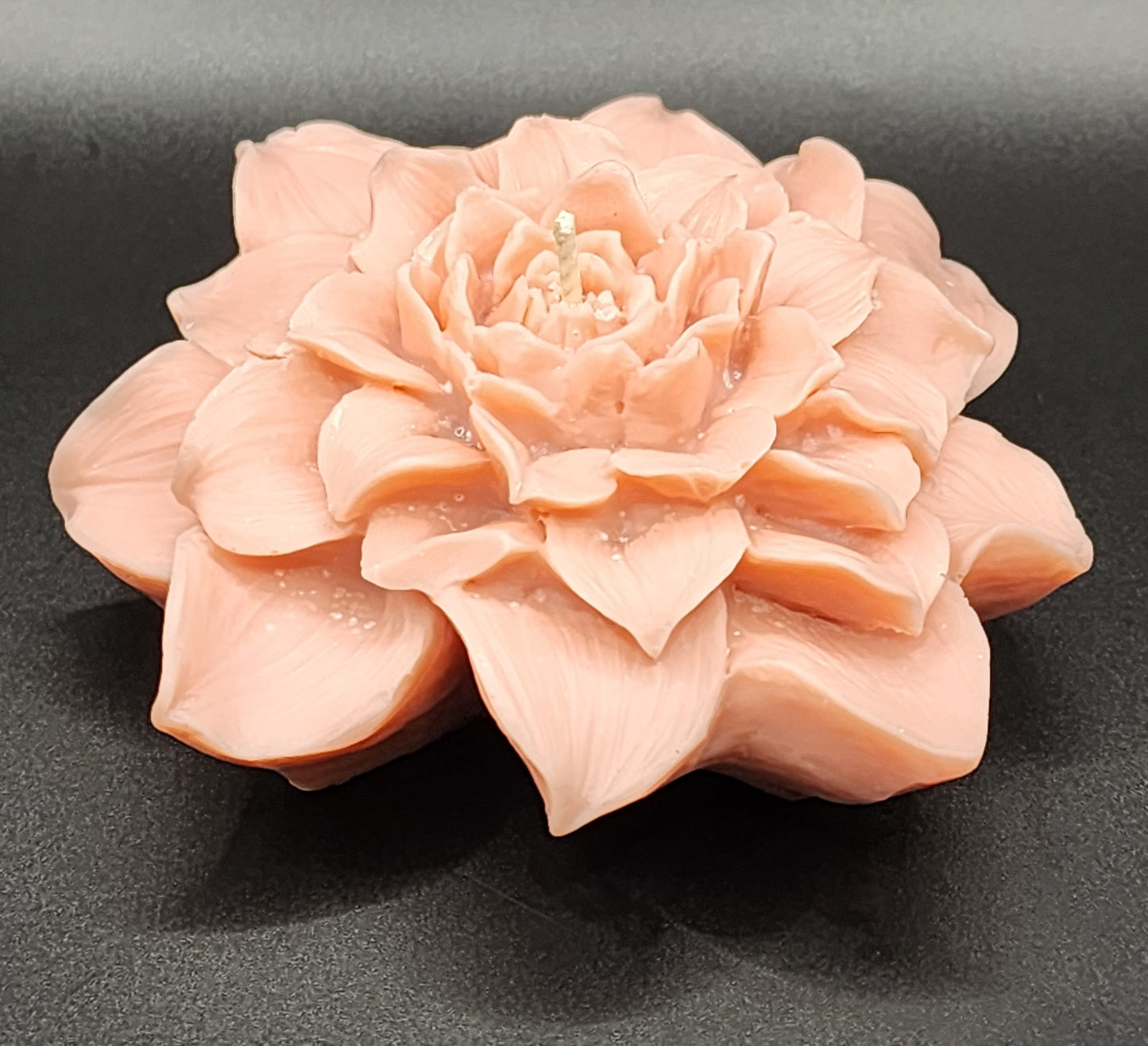 Peony Grace