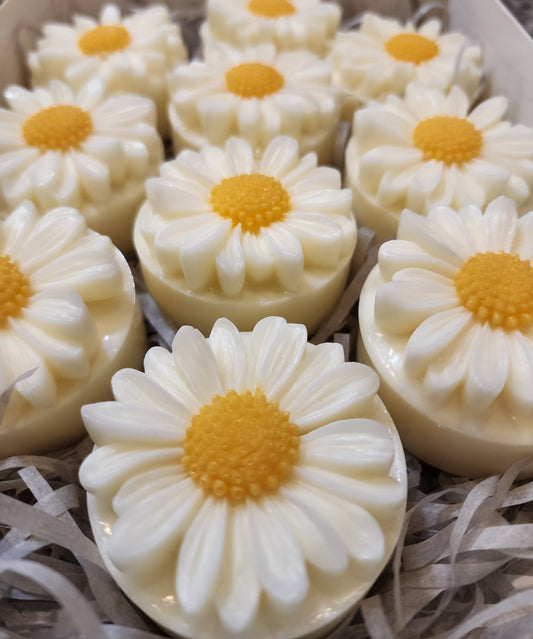 You're A Daisy