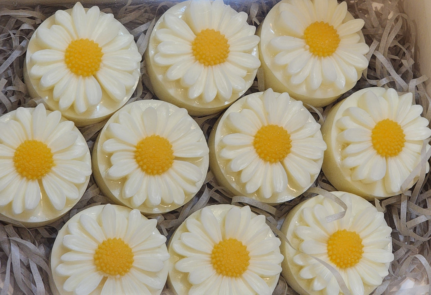 You're A Daisy