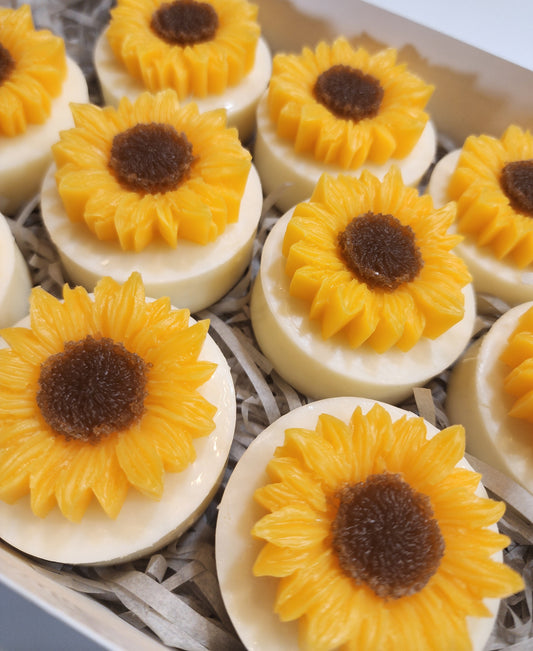 You're My Sunshine