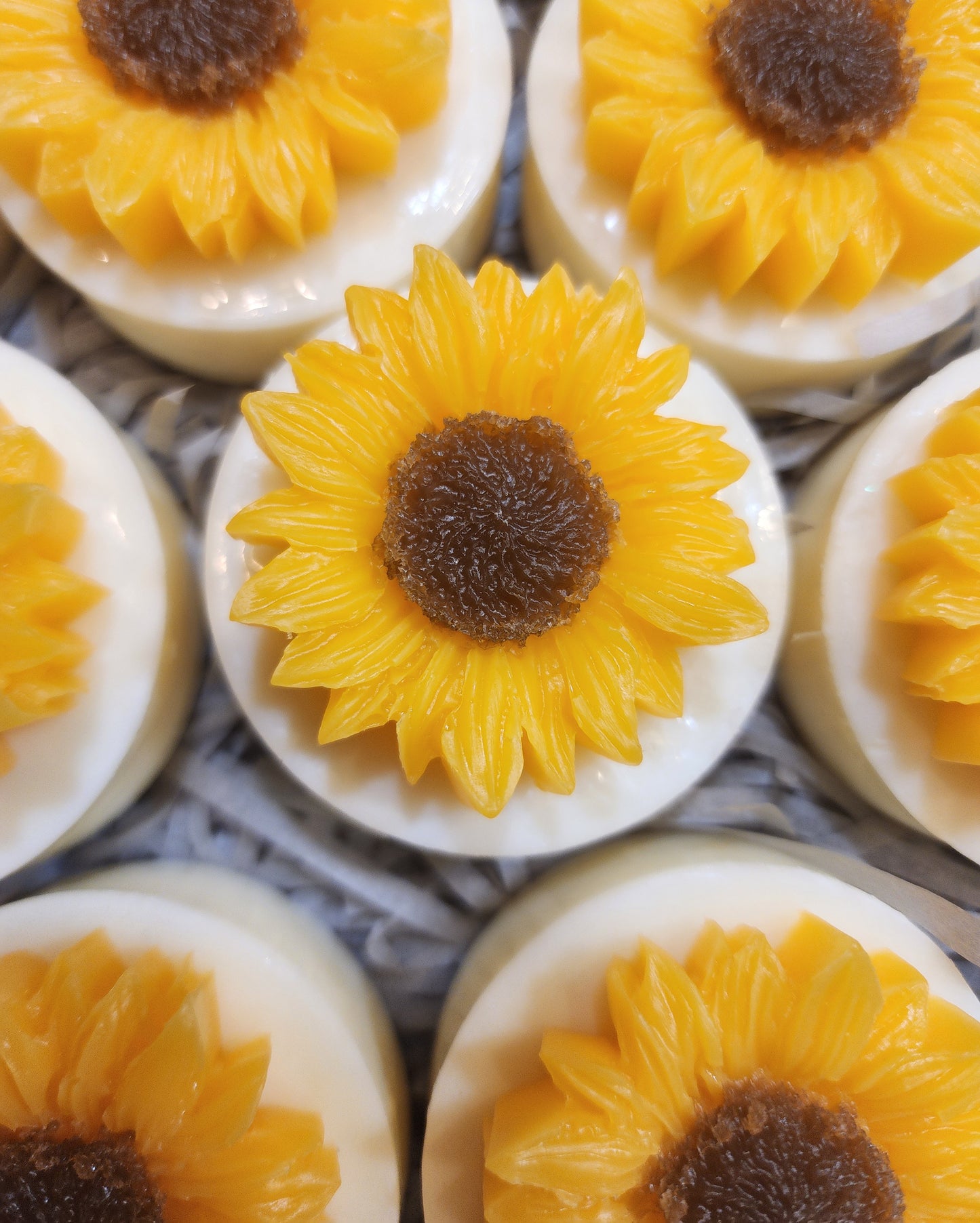 You're My Sunshine