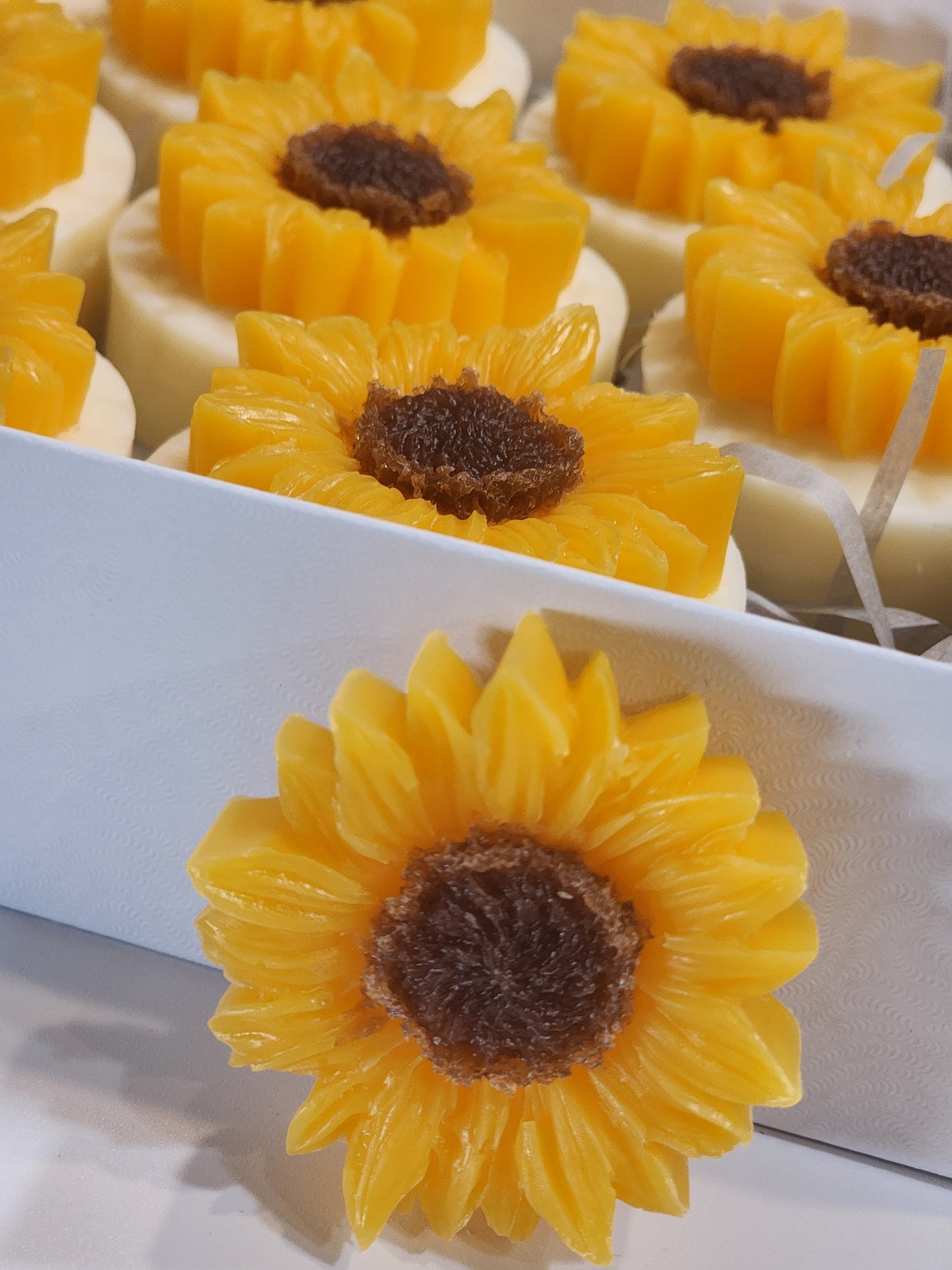 You're My Sunshine