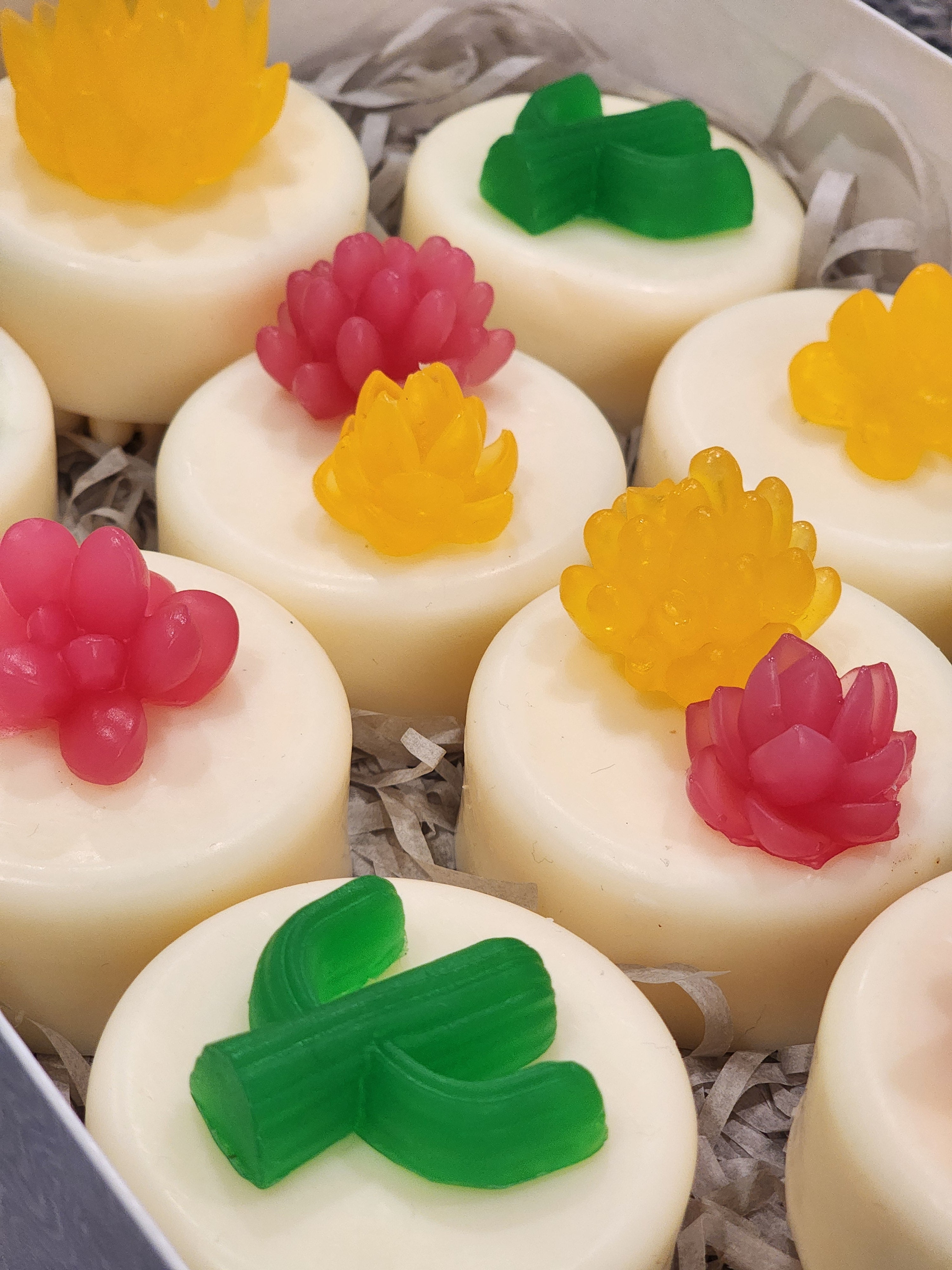 My Cactus Friend Soaps