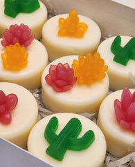 My Cactus Friend Soaps