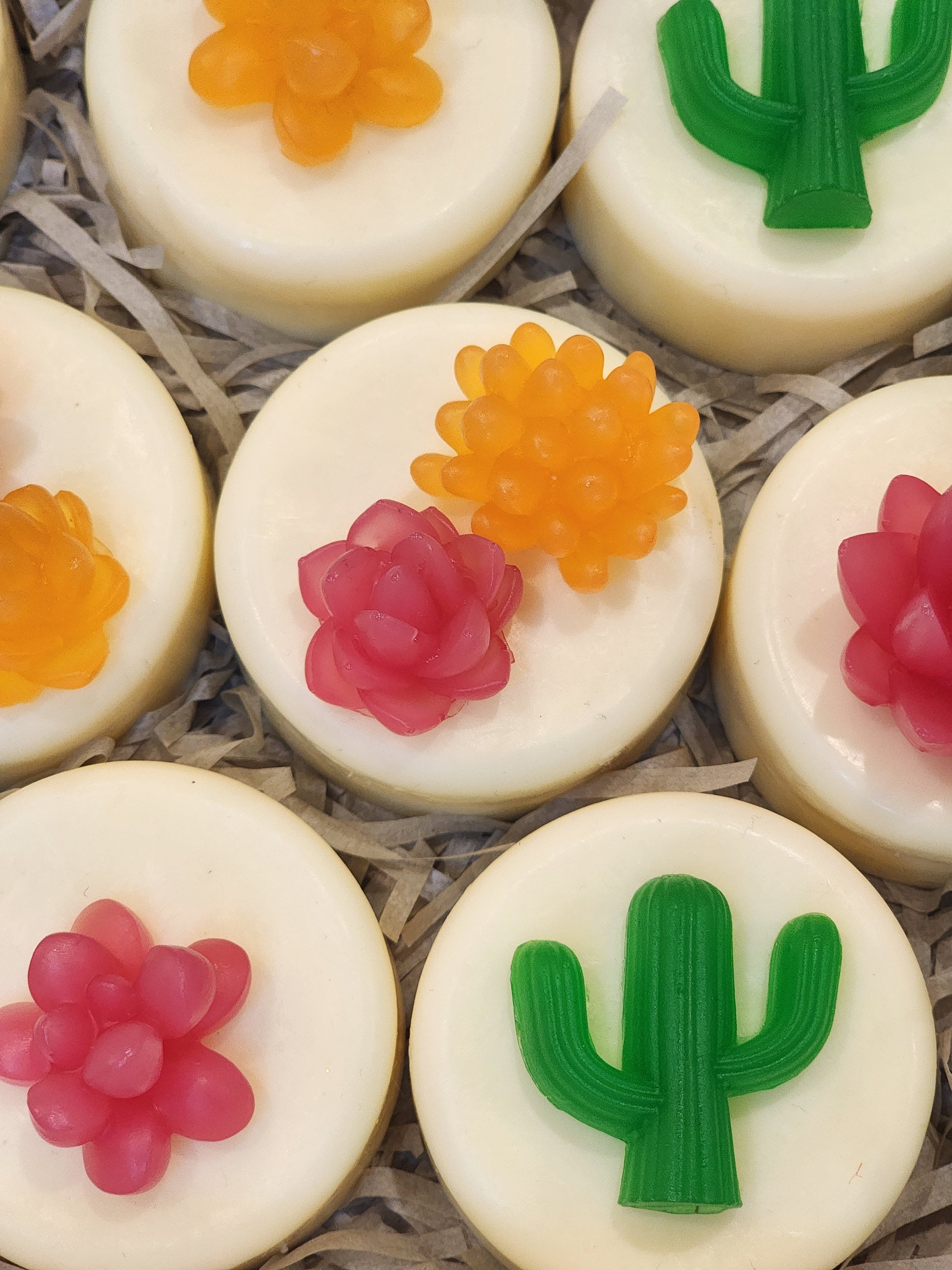 My Cactus Friend Soaps