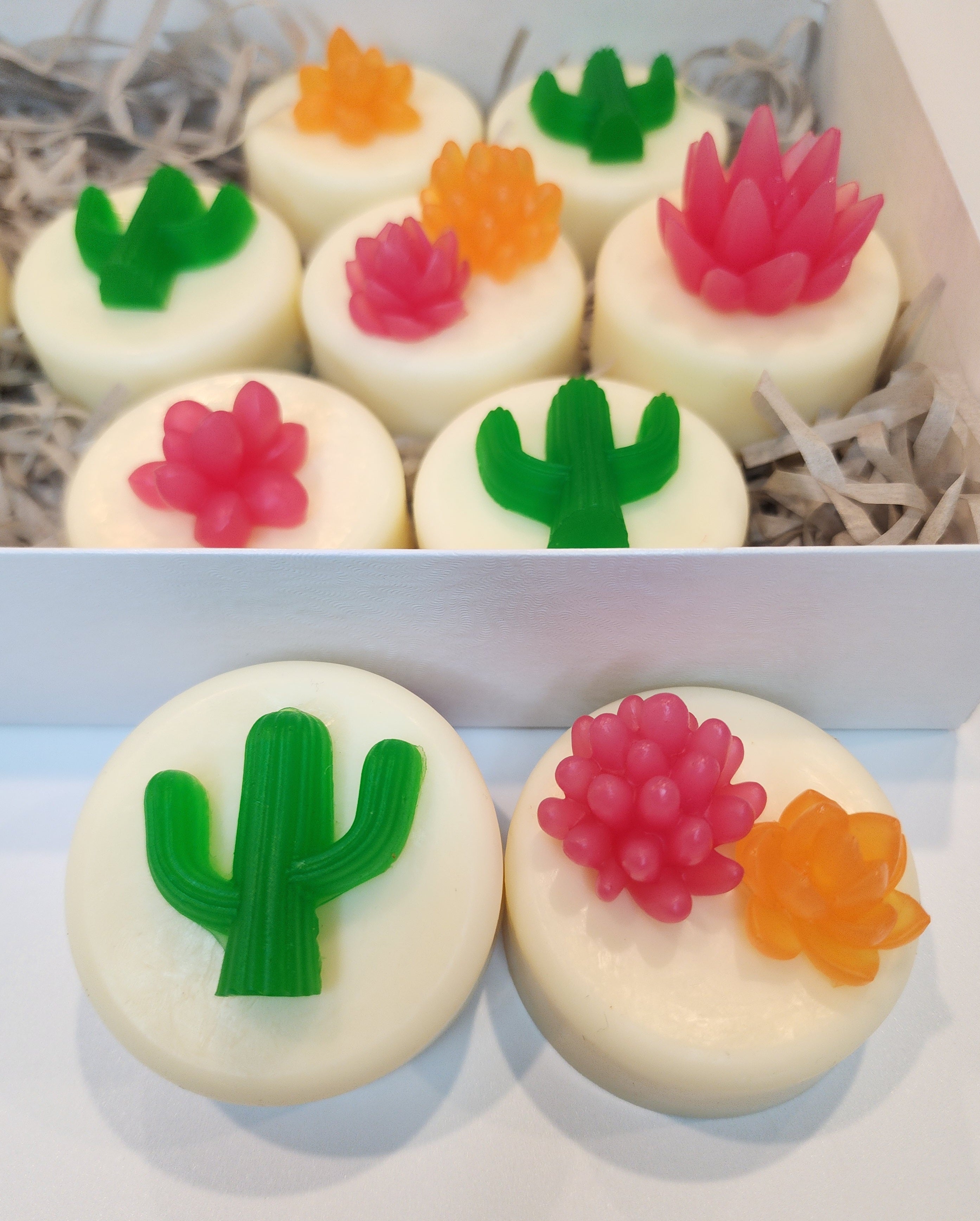 My Cactus Friend Soaps