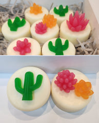 My Cactus Friend Soaps