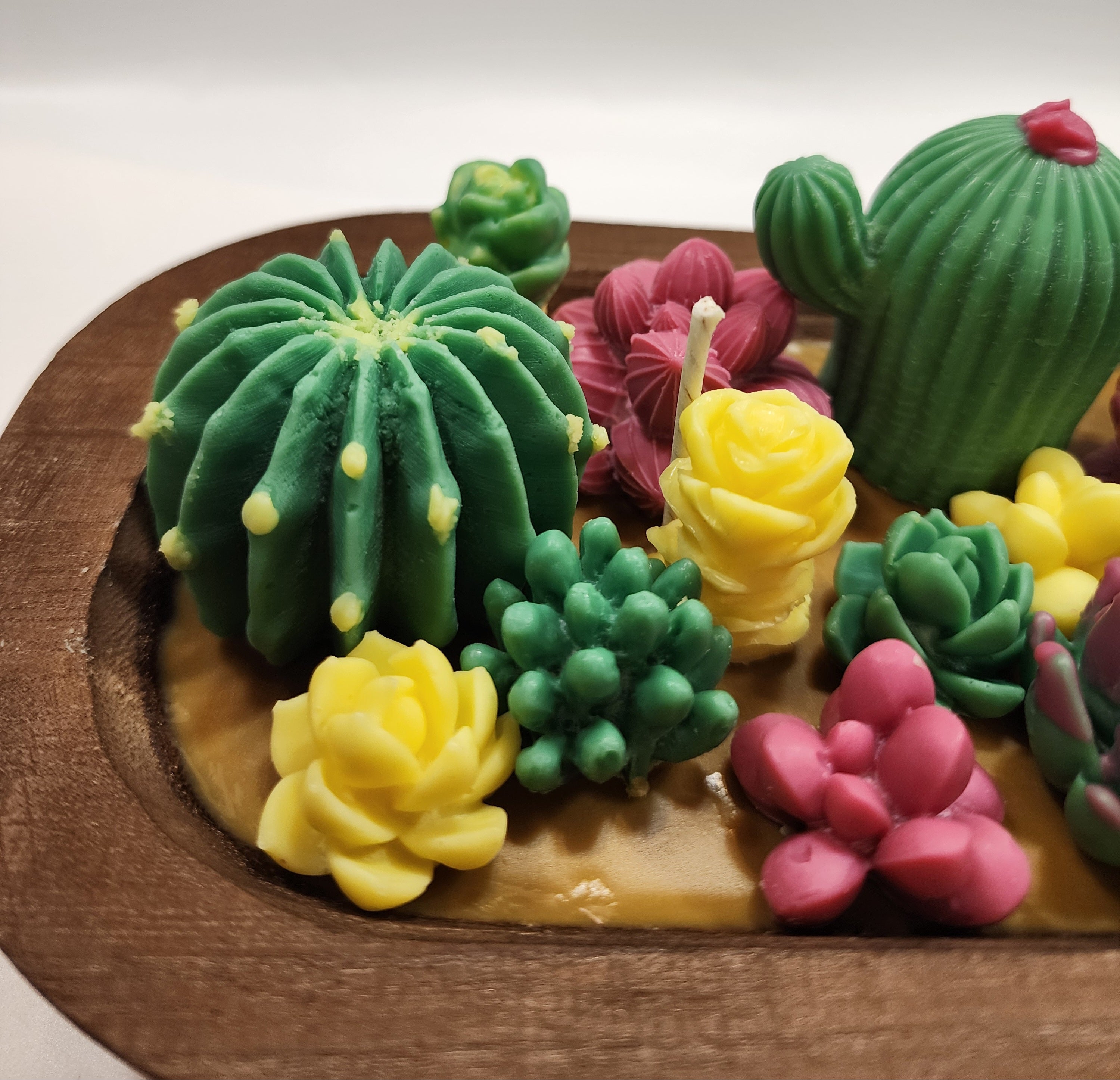 Desert Oasis