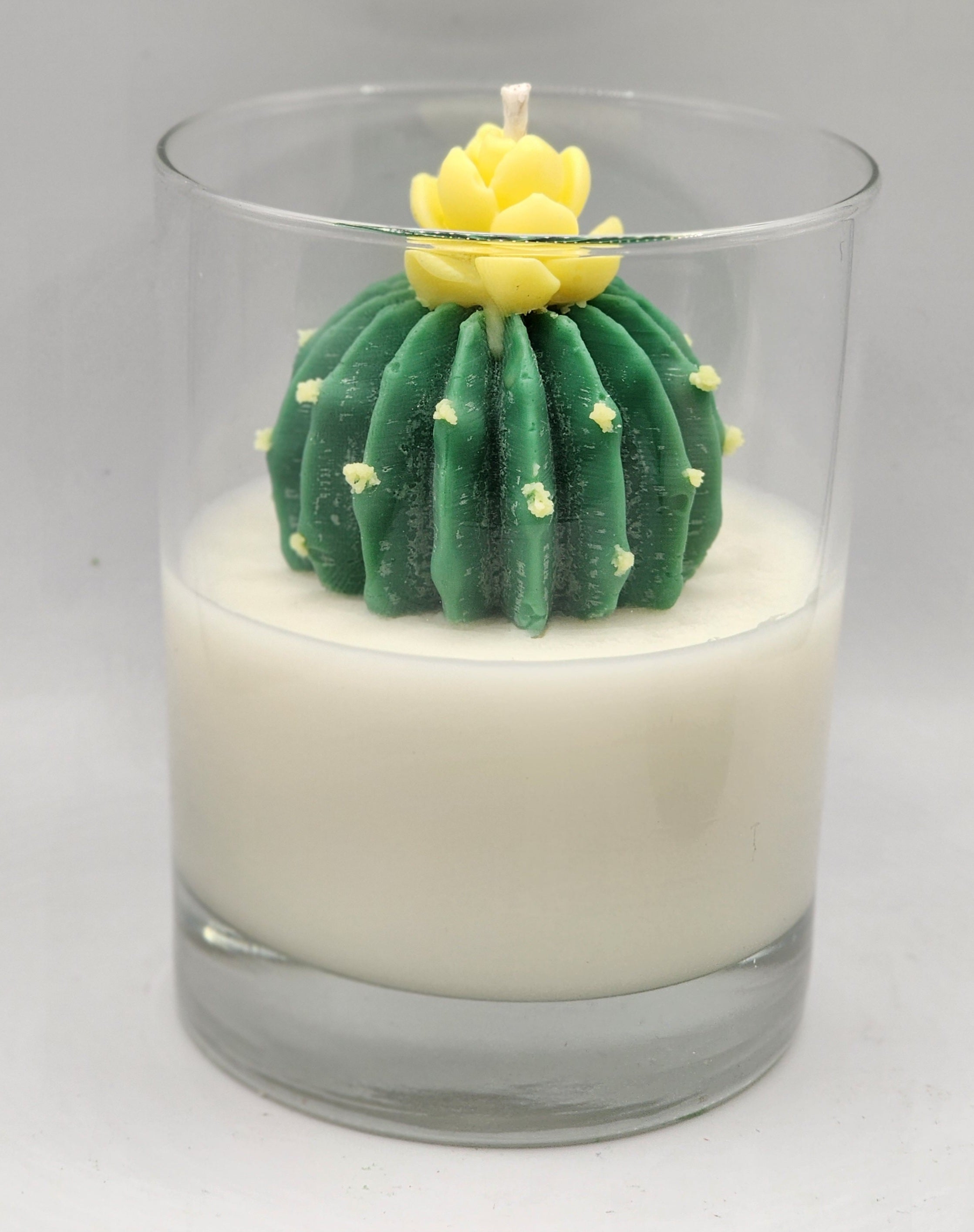 My Cactus Friend