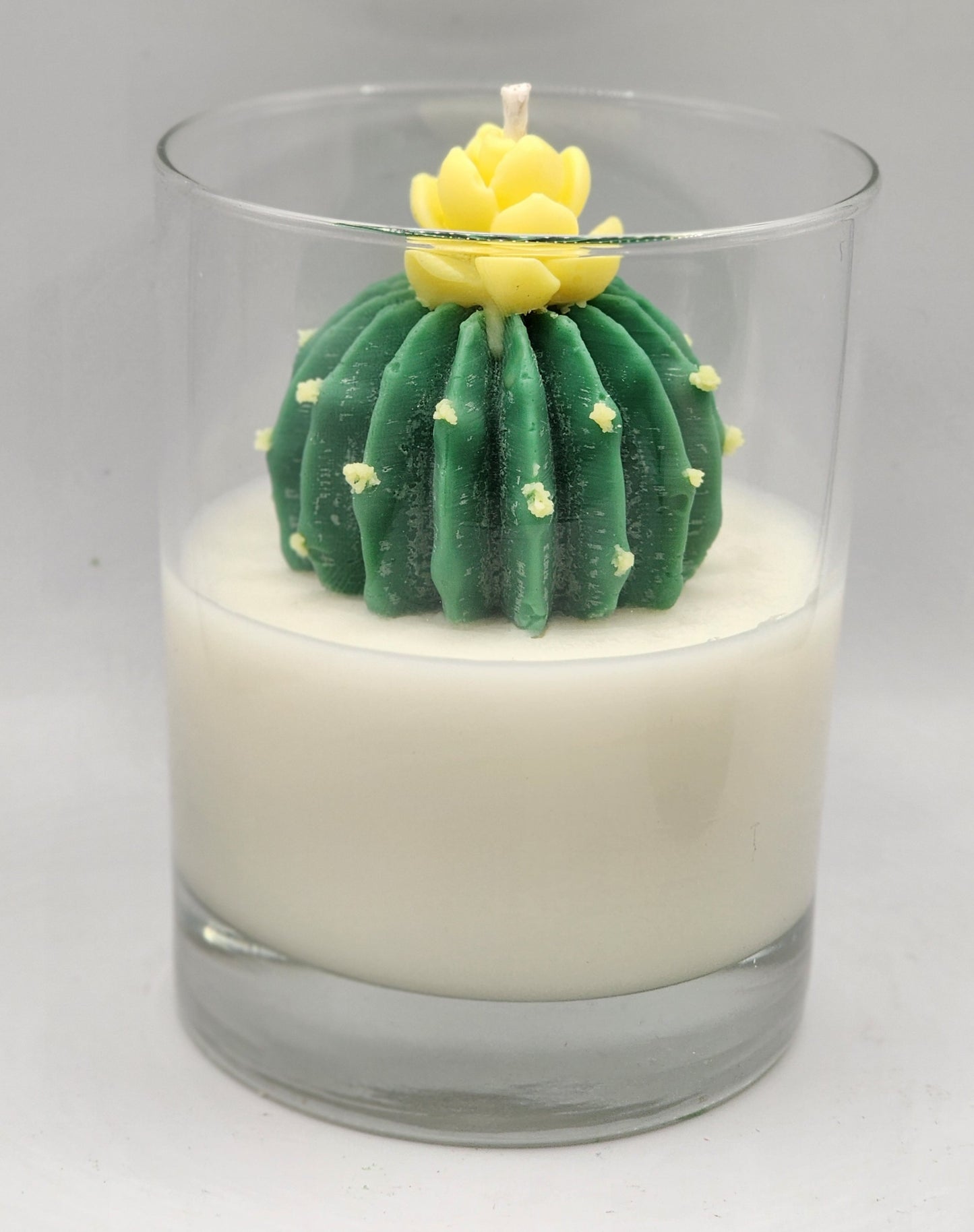 My Cactus Friend