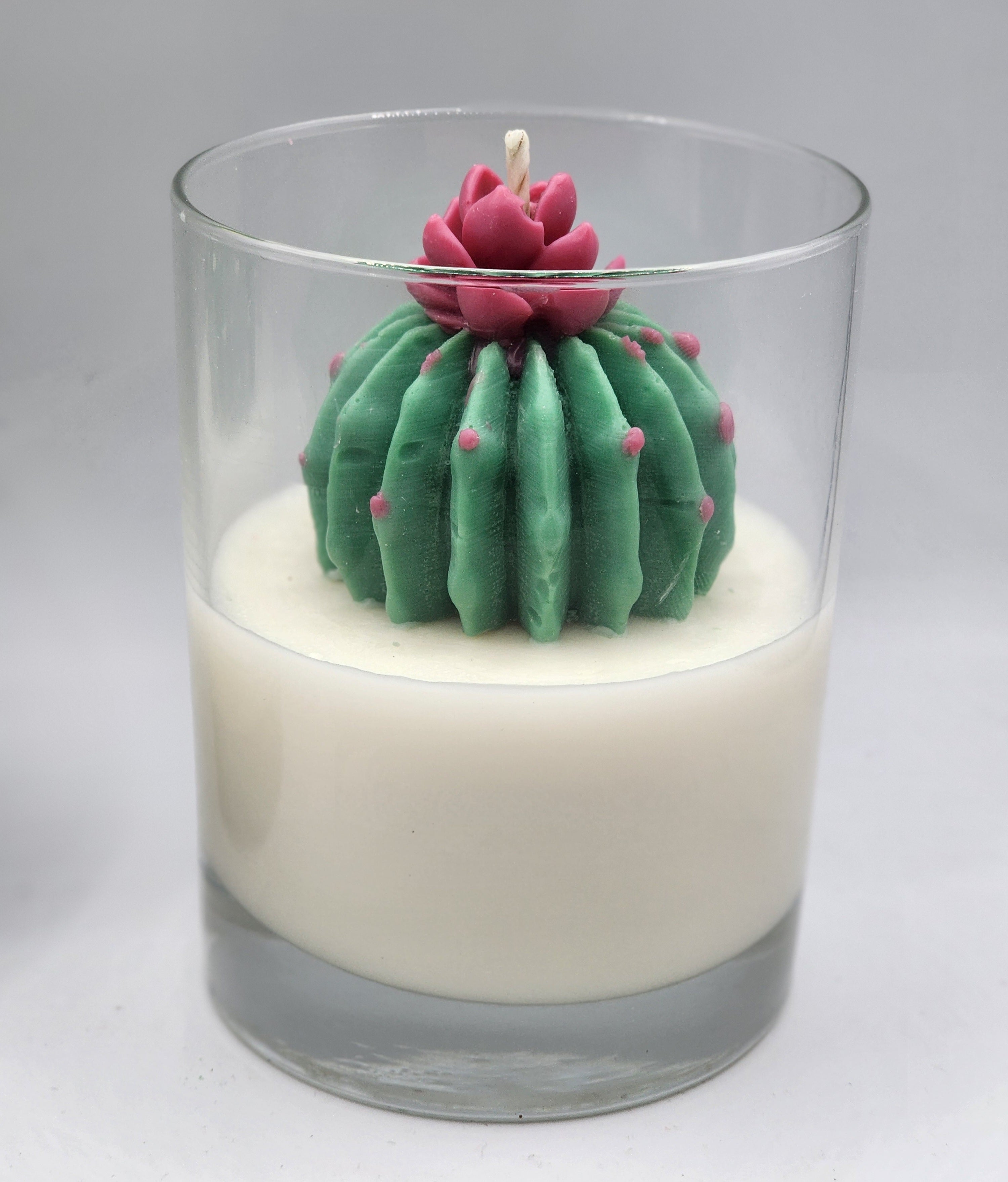 My Cactus Friend