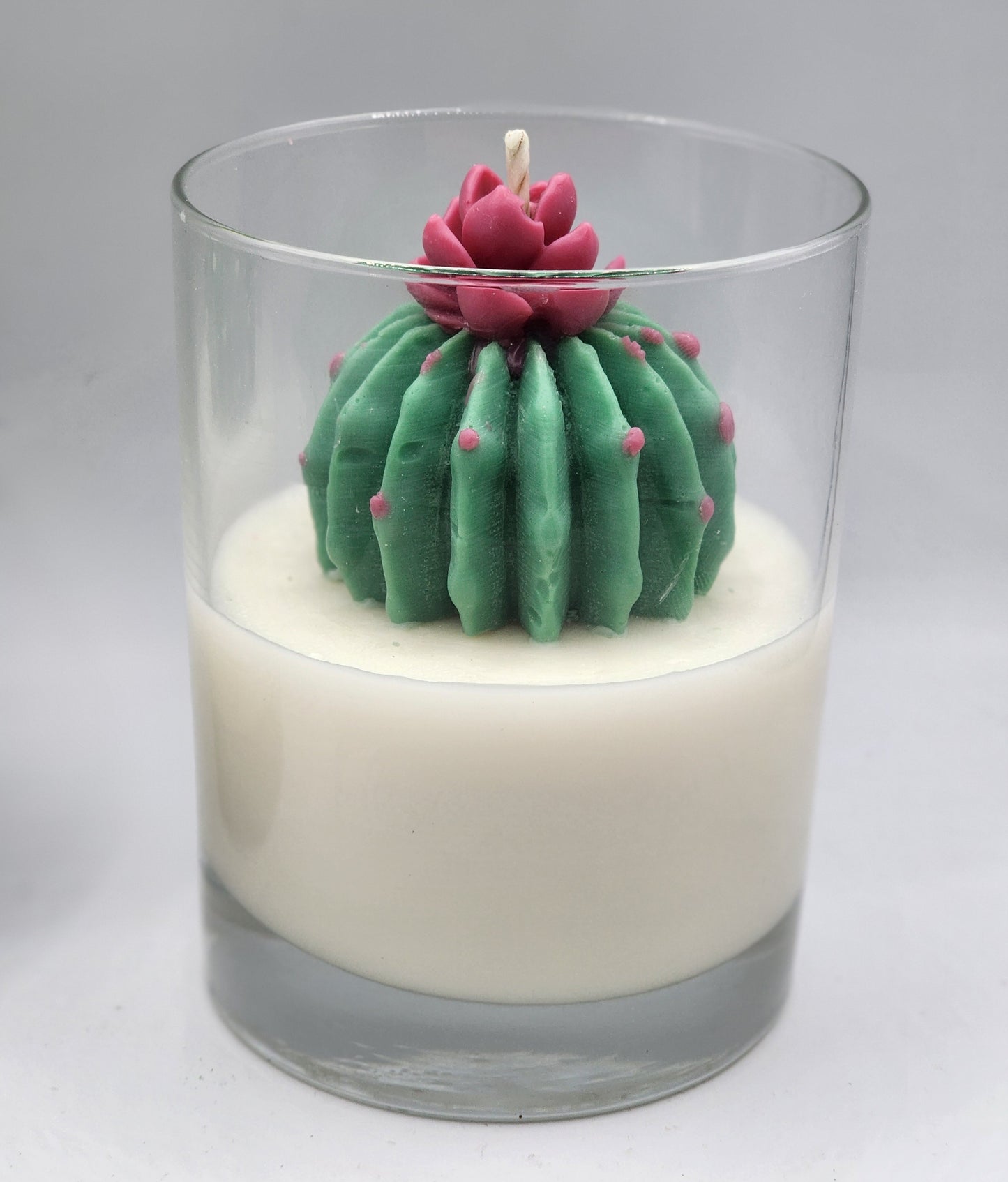 My Cactus Friend