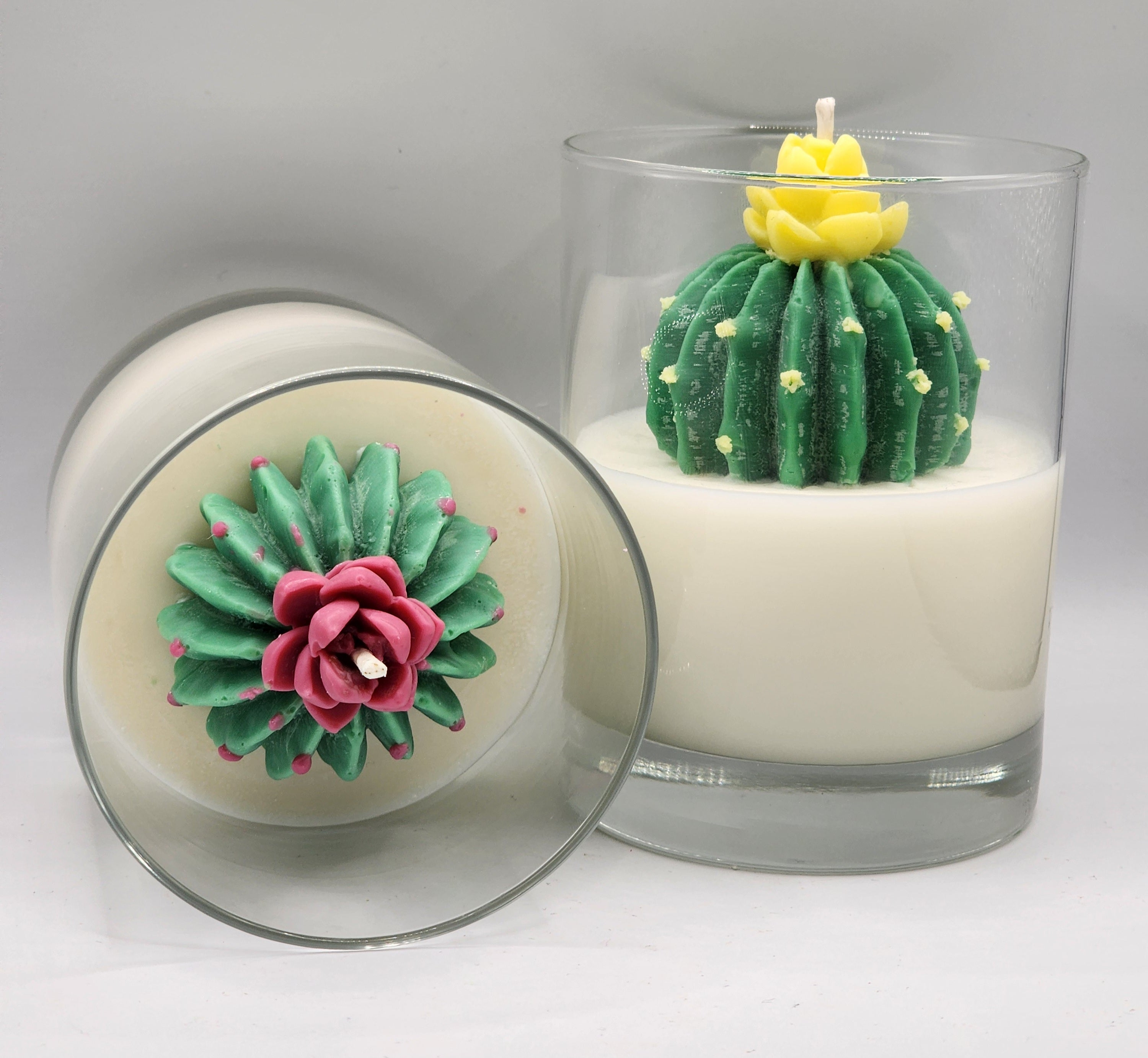 My Cactus Friend