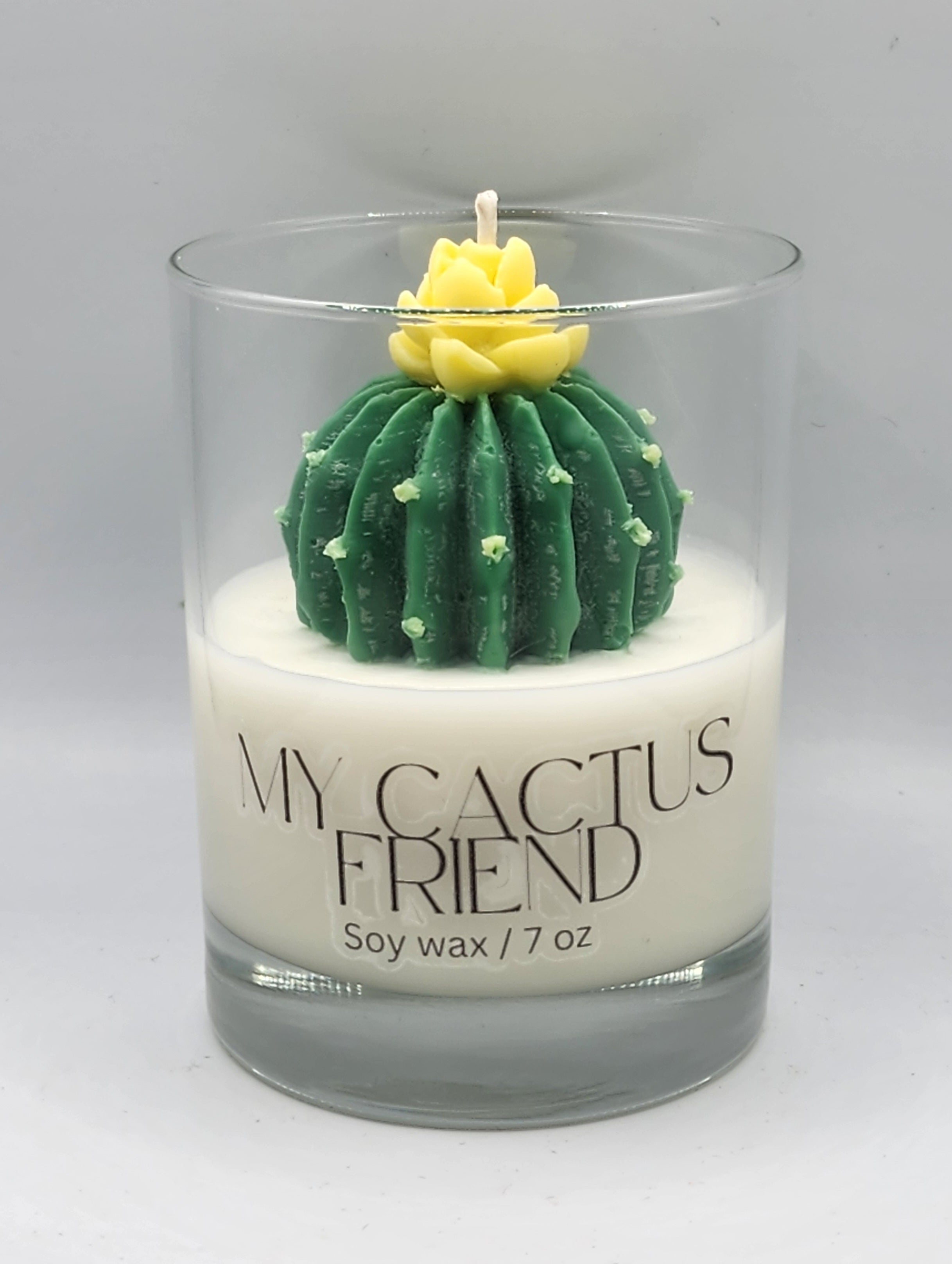 My Cactus Friend