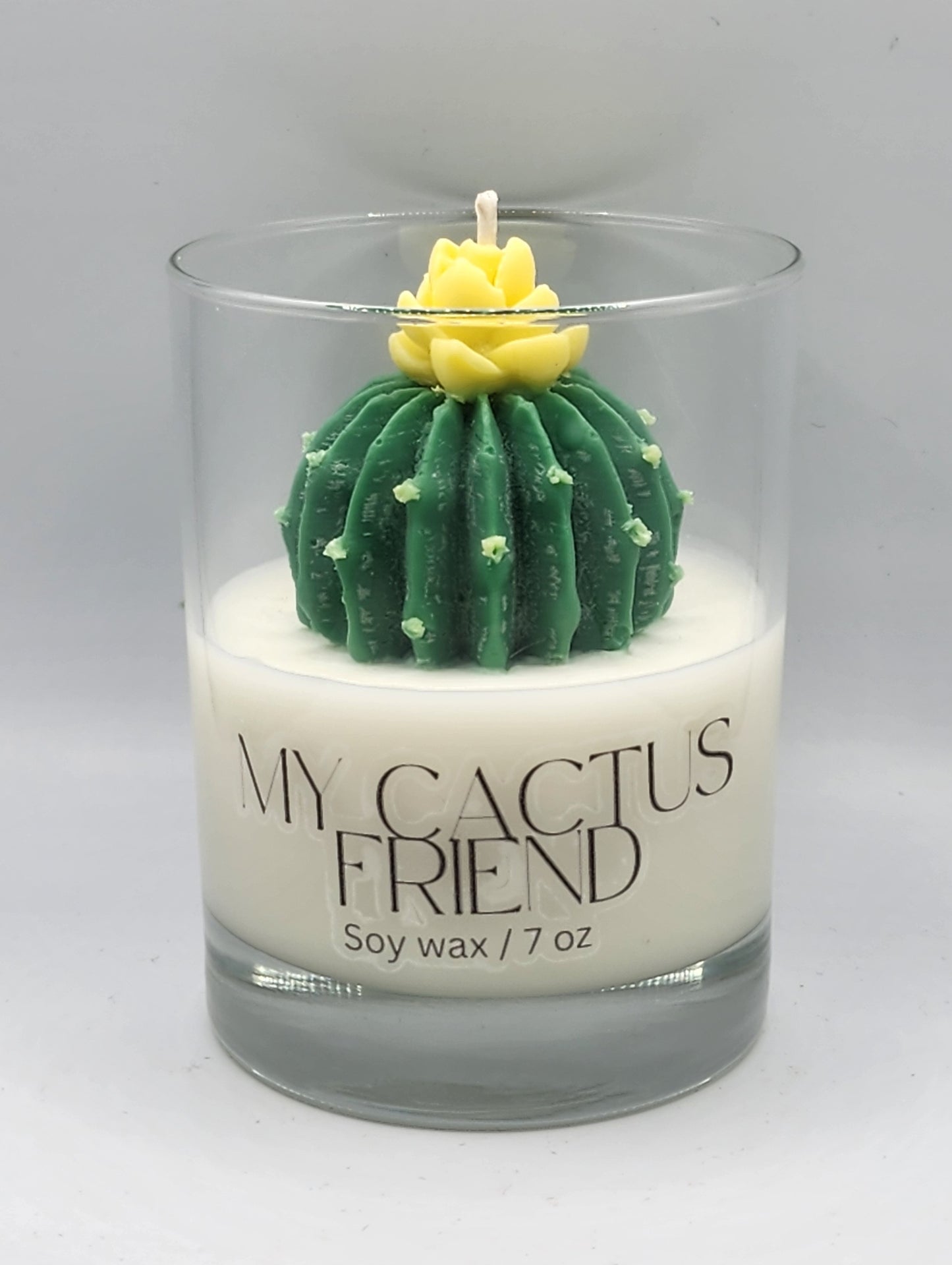 My Cactus Friend