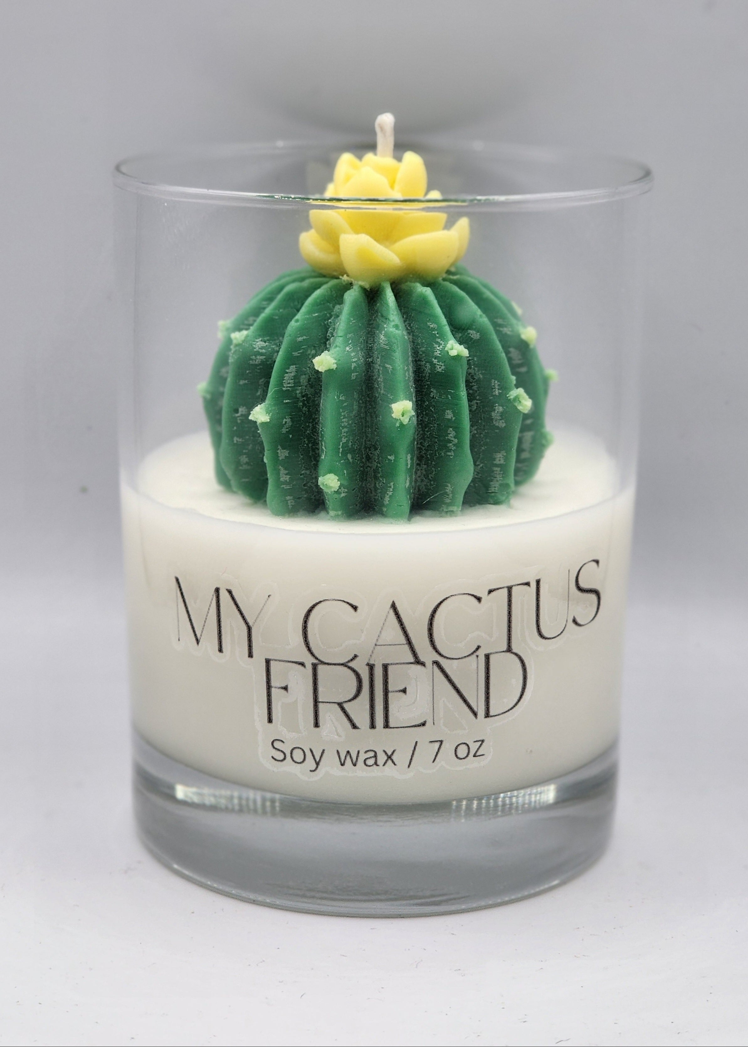 My Cactus Friend