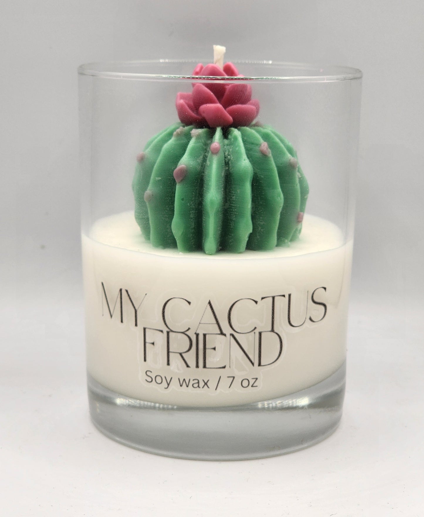 My Cactus Friend