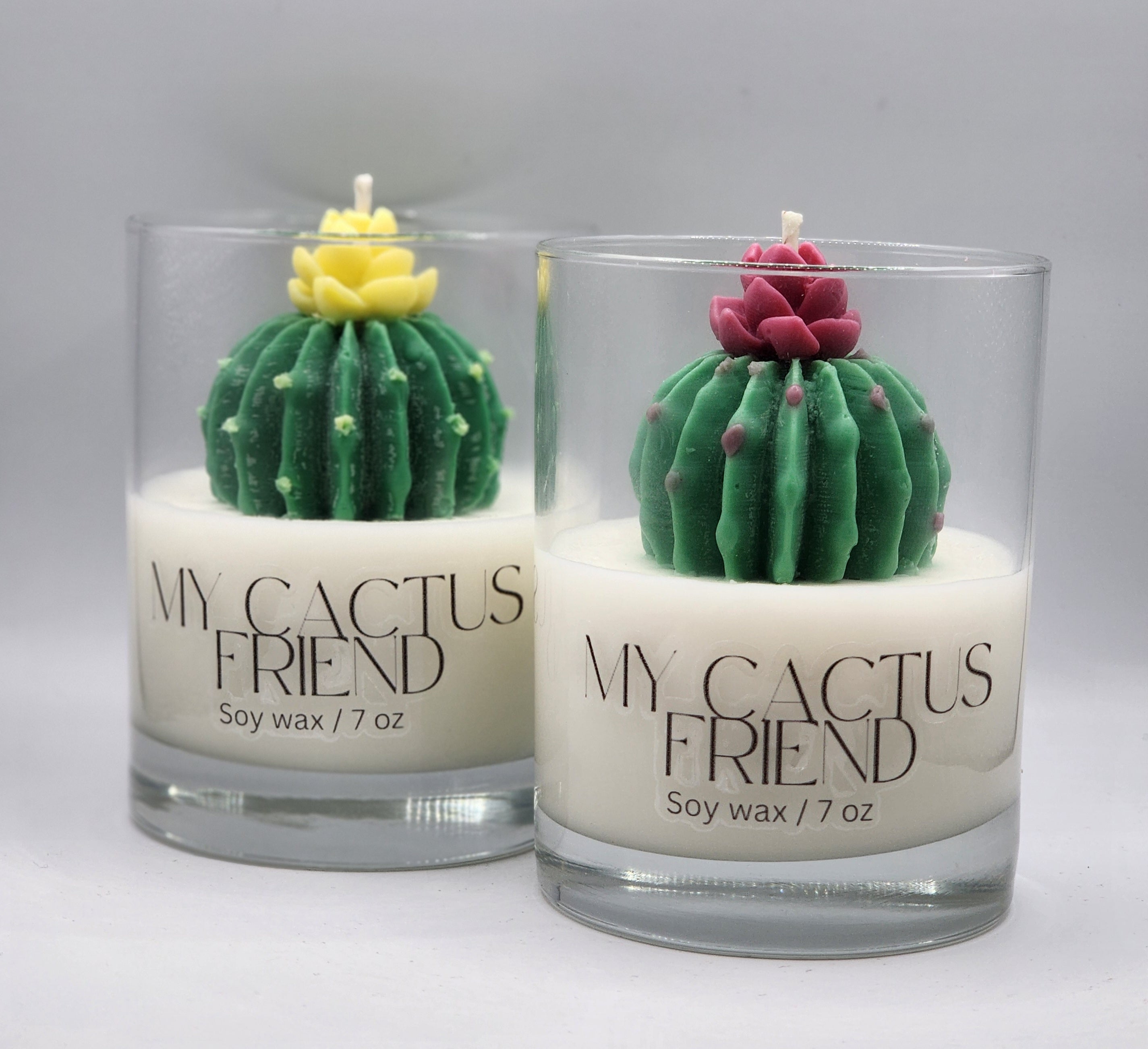 My Cactus Friend