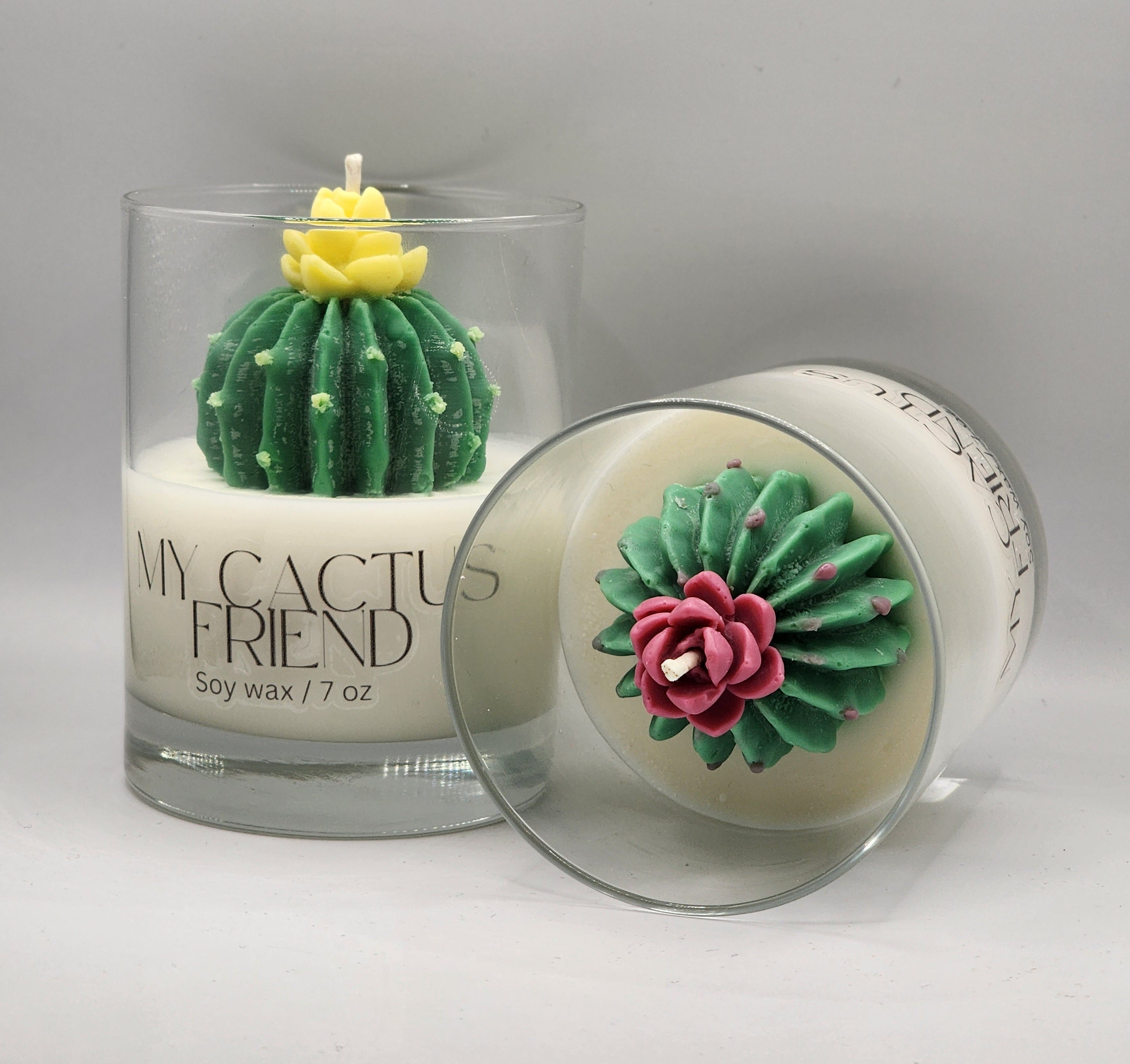 My Cactus Friend