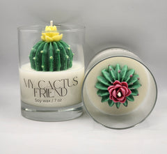 My Cactus Friend