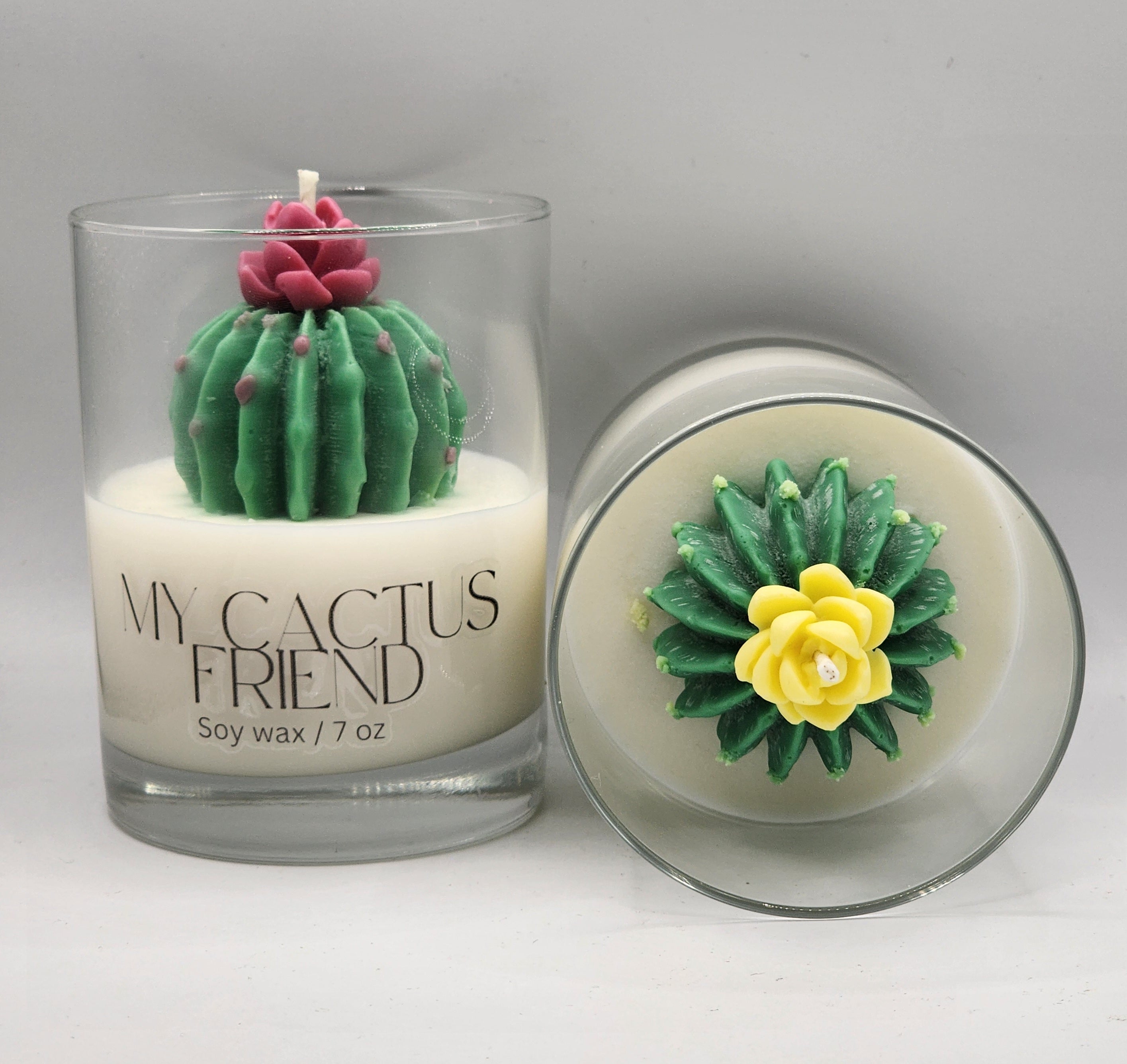 My Cactus Friend