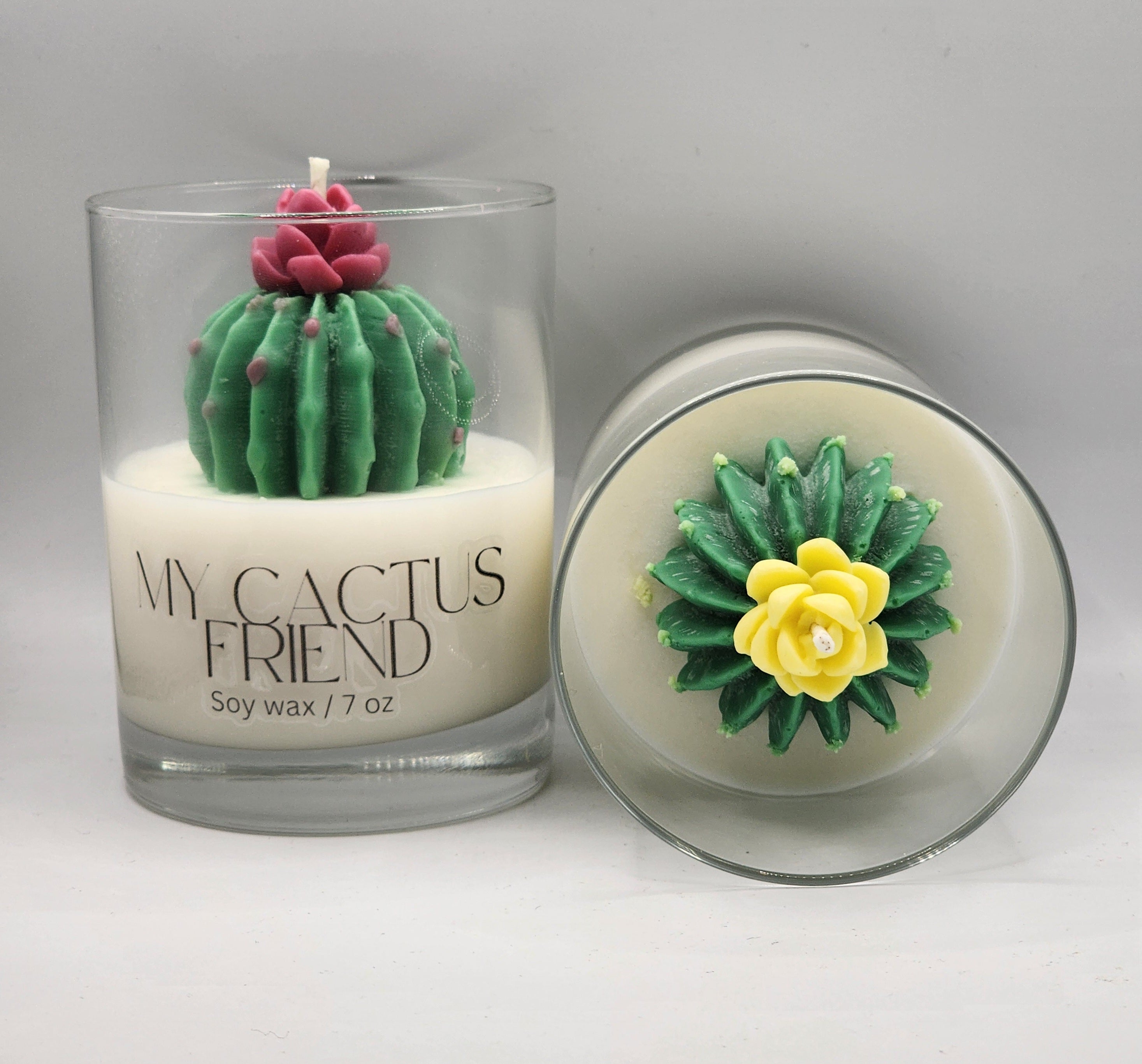 My Cactus Friend
