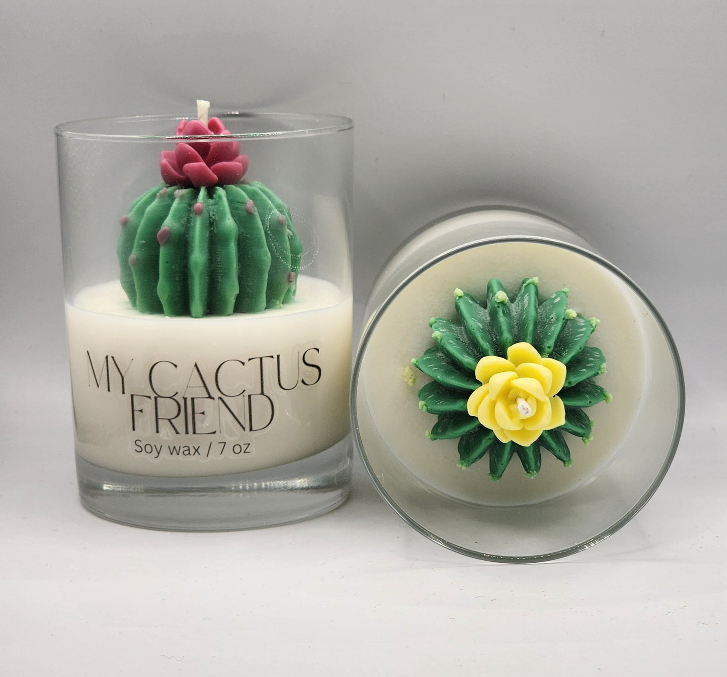 My Cactus Friend